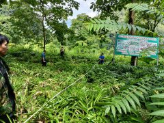 林药共生打开绿色富矿——对广西河池市