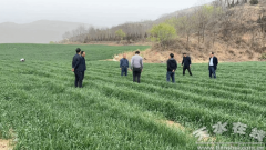 <b>省植保植检坐来天水市开展春季农做物病</b>